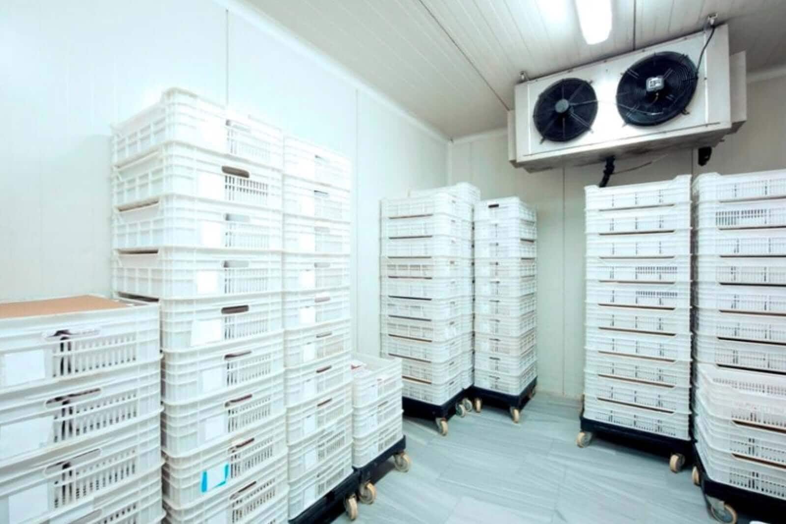 Giám sát cảnh báo nhiệt độ độ ẩm